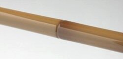 Daiwa Tenho-Tsurugi-19 Hera rod