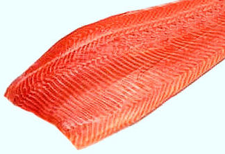 Coho Salmon