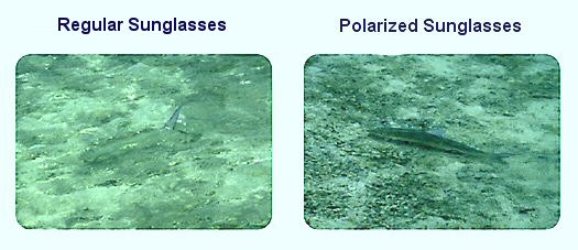 Benefits of Using Polarized Sunglasses for Fishing