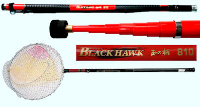 Fishing landing net - telescopic landing net