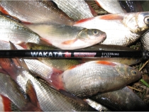 Azat H., Russia Wakata Tenkara rod