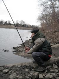 Carp on Hera Rod