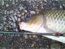 Randy K., Warm Springs, VA - Randy Tenkara Universal Rod Unagi Carp