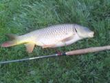 Randy K., Warm Springs, VA - Randy Tenkara Universal Rod Unagi Carp