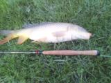 Randy K., Warm Springs, VA - Randy Tenkara Universal Rod Unagi Carp