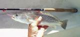 Tenkara Trout fishing