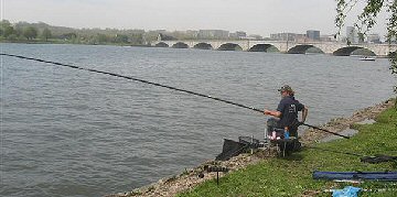 CANE POLE Common Carp Fishing 