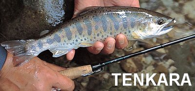 Tenkara Fishing, Japanese fishing rods