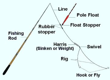 Fishing Pole User Guide – Rigged and Ready