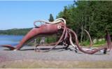 Interesting Fish Facts Biggest Cephalopod Giant-Squid