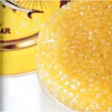 Interesting Fish Facts most expensive Almas Caviar from Beluga Sturgeon