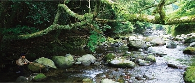 Mountain-stream-fishing