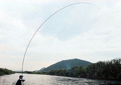 Pole fishing
