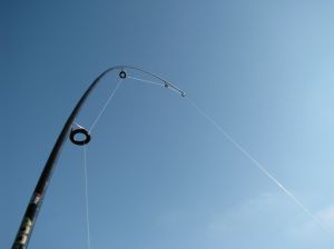 Spinning Rod Bent with line