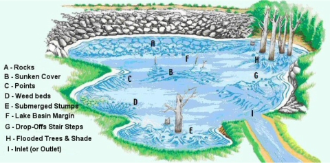 Fishing Lakes Ponds spots