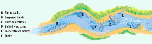 Fishing-Streams-Rivers-channels-converge