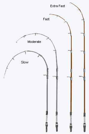 Fishing Rods Characteristics - Action